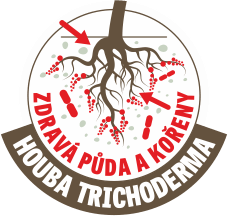 Zdravá půda a kořeny: houba Trichoderma